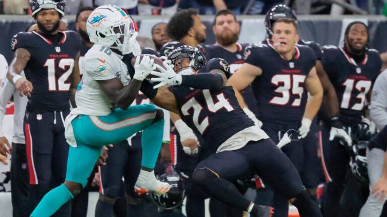 Dolphins lose in Houston