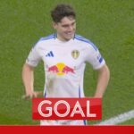 skysports-leeds-dan-james_6772752